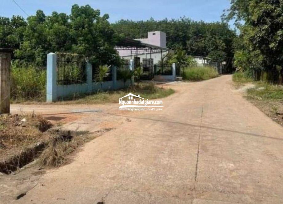 Đất Đồng Phú Bình Phước gần KCN Becamex 6.300ha chính chủ bán